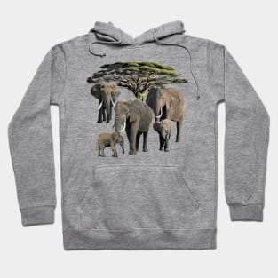 Elephant Mamas with Babies in Africa Hoodie